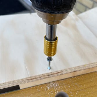 Ekornmater tegning Ekornmater tegning